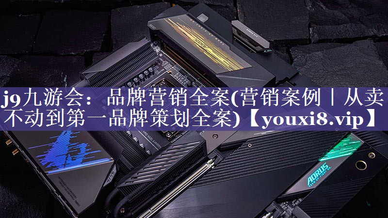 品牌营销全案(营销案例｜从卖不动到第一品牌策划全案)
